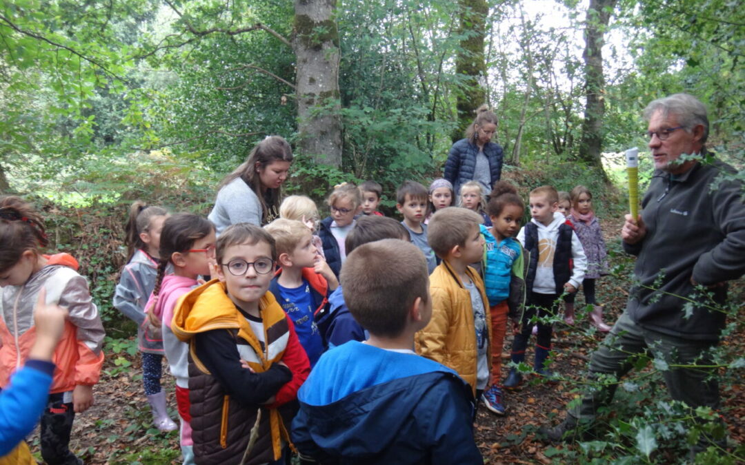 Sortie Ecole du dehors
