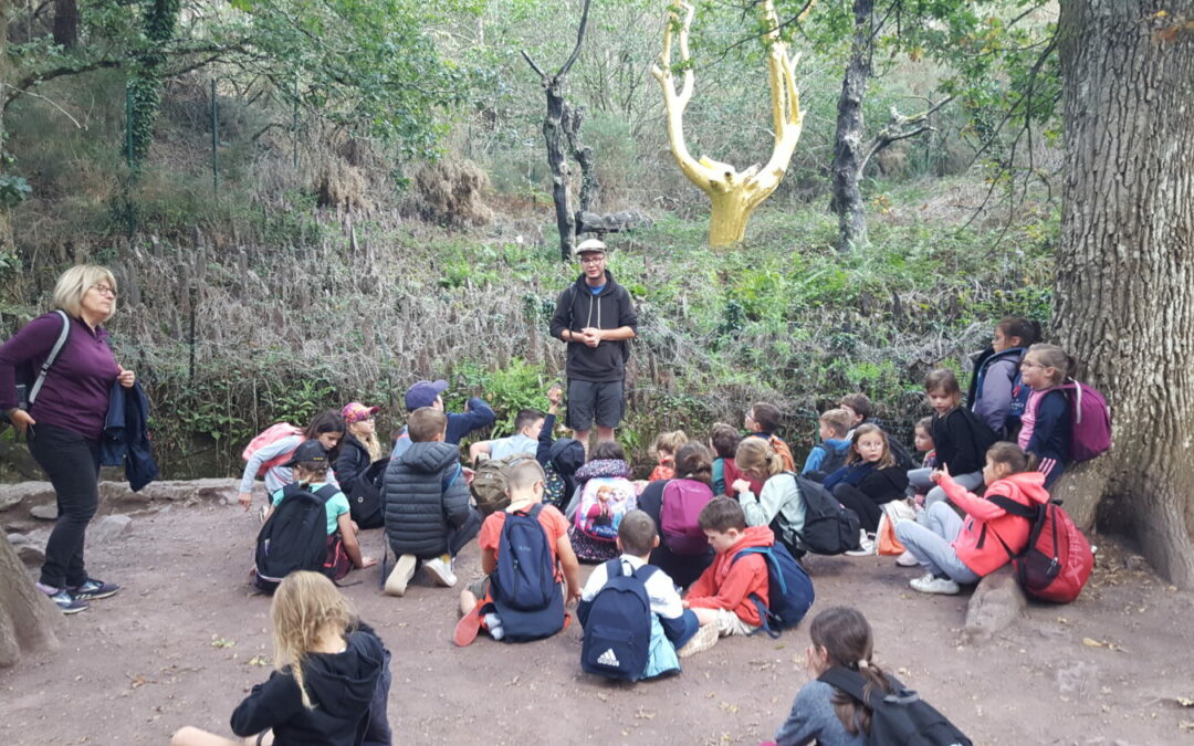 Sortie pédagogique à la forêt de Brocéliande