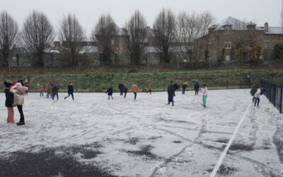 Reprise de janvier avec la neige