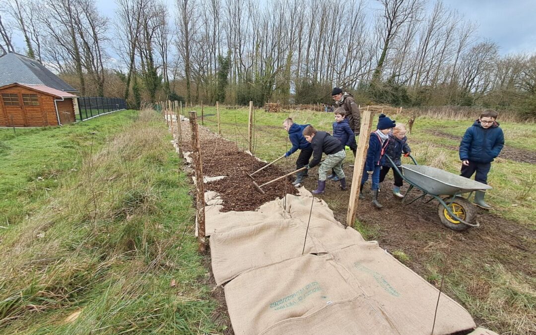 Participation à la création du « Parc de la biodiversité » de la ville