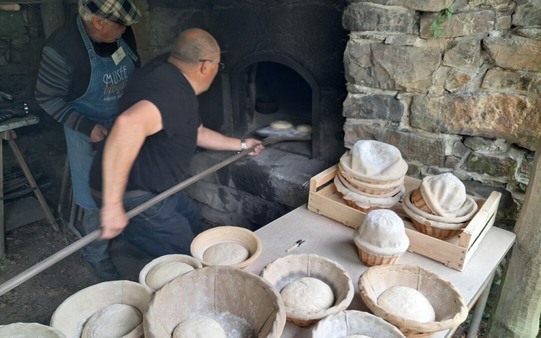 Sortie pédagogique au musée vivant des vieux métiers d’Argol (29)